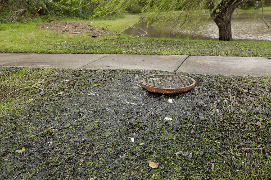 Sewage overflowing around a manhole cover onto grass